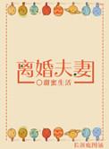 离婚夫妻