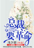 二婚娇妻,总裁要革命