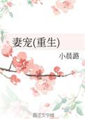妻宠
