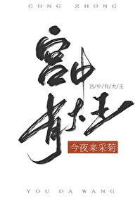 宫中有大王