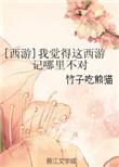 我觉得这西游记哪里不对